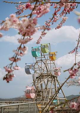 Ferris wheel with cherry blossoms