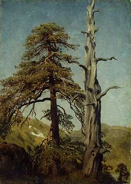 Two Trees in a Landscape Painting