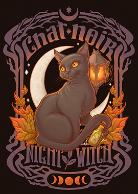 Chat Noir - black Cat - Night Witch