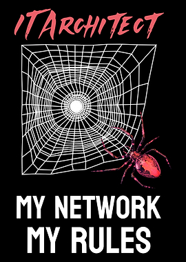 IT Architect: My Network, My Rules
