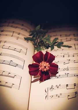 Flower on Sheet Music