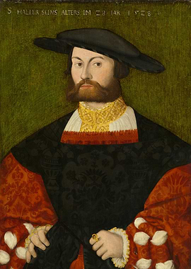 Portrait of a Man in 1568