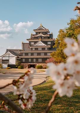 Okayama Castle with Cherry Blossoms