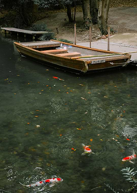 Koi Fish Pond in Takamatsu, Japan
