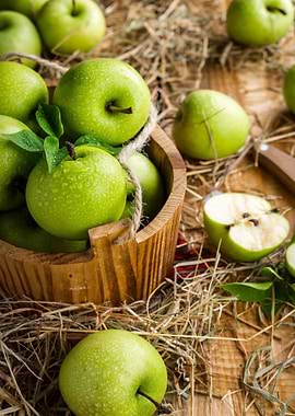 Green Apples in Wooden Bucket Still Life