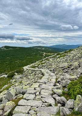 Stone Path Mountain Landscape