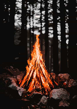 Campfire in the Woods at Night