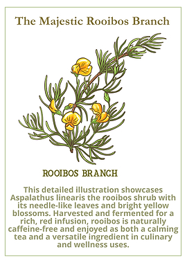 The Majestic Rooibos Branch Illustration