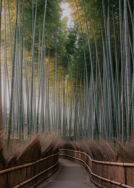 Bamboo Forest Path