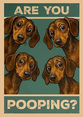 Are you pooping? Dachshund poster