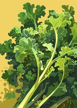 Fresh Kale Illustration on Yellow Background