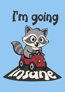 I'm Going Insane - Raccoon
