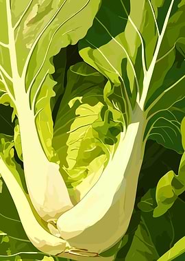 Fresh Green Chard Vegetable Close-Up