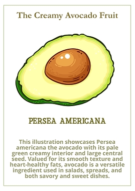 Creamy Avocado Fruit Illustration