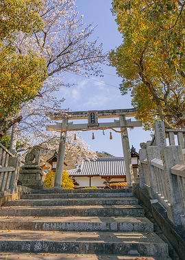 Japanese Temple Entrance with Cherry Blossoms