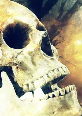 Skull close-up with vintage filter