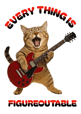 Cat playing guitar with text overlay