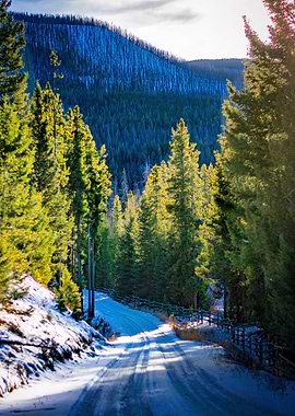 Snowy Road on Montana Through Evergreen Forest