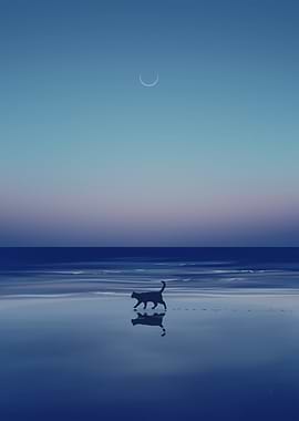 Cat silhouette on beach at night