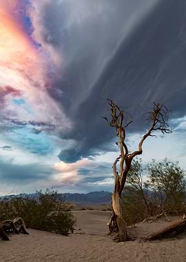 Desert Landscape with Dramatic Sky