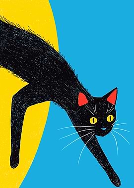 Black Cat Illustration