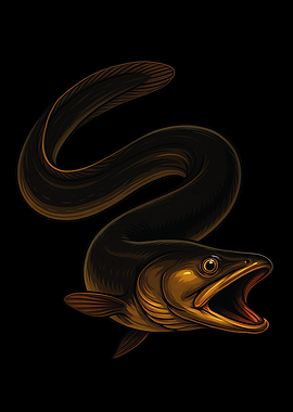 Eel Illustration on Black Background