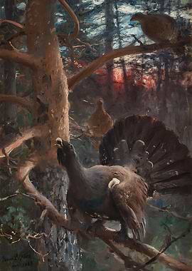 Tetrao Urogallus in Forest Painting