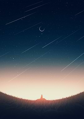 Fox under starry night sky