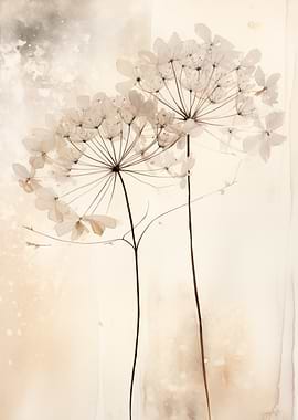 Dried Flowers on Beige Background