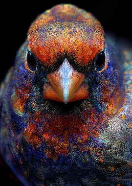 Colorful Cardinal Bird Portrait