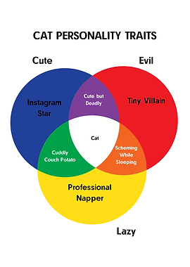 Cat Personality Traits Venn Diagram