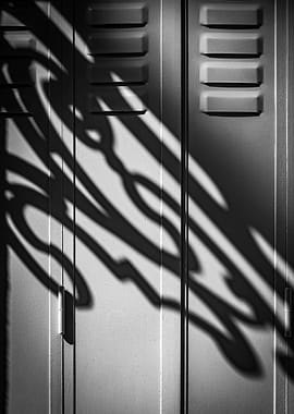Monochrome Locker with Shadow Pattern