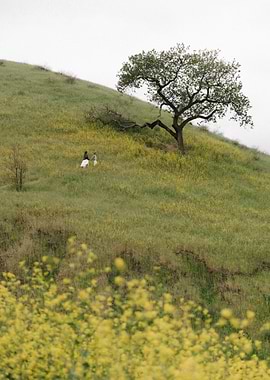 Hillside with Tree and Two Figures