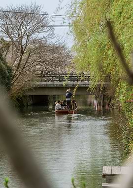 Cherry Blossom Boat Ride in Yanagawa, Japan
