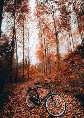 Bicycle in Autumn Forest