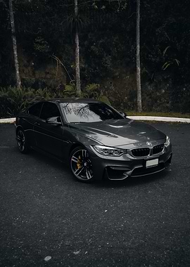 Sleek Gray BMW Coupe Outdoors