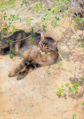 Cat Resting in the Shade Painting