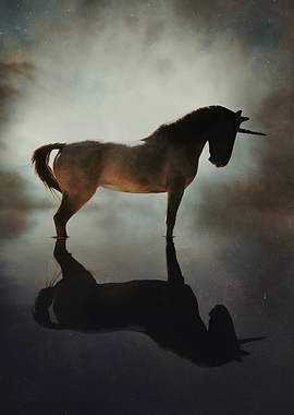 The Unicorn Reflected
