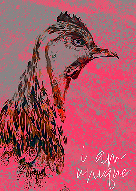 Unique Chicken Portrait with Pink Background