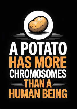 Potato Chromosomes Funny Quote