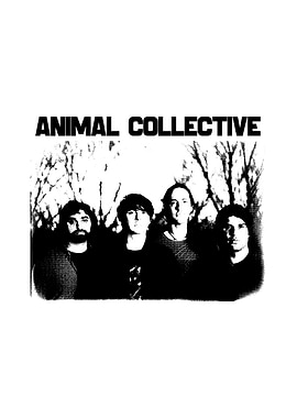 Animal Collective Band Photo