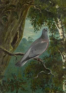 Pigeon Perched on Branch Painting