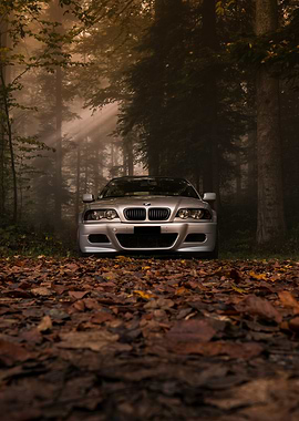 Silver Car in Autumn Forest