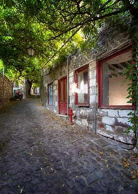 Cobblestone street with trees and buildings, Molivos, Lesbos