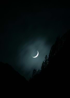 Crescent Moon Over Dark Forest