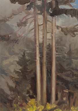 Forest Trees Painting