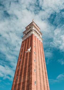 St. Mark's Campanile with Seagull