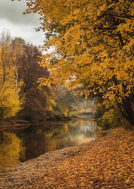 Autumn River Landscape