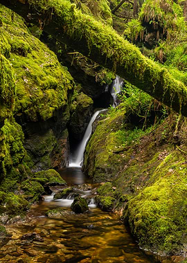 Mossy Waterfall in Lush Green Forest