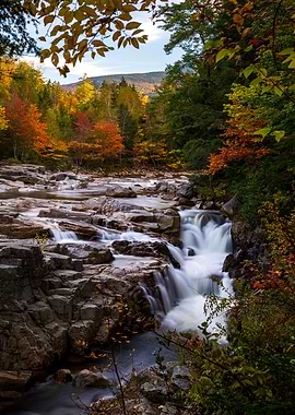 Autumn Waterfall Landscape